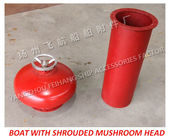 Externally open mushroom vents with Dg=100 are usually marked as: hood ventilator with deflector A100 CB455-65